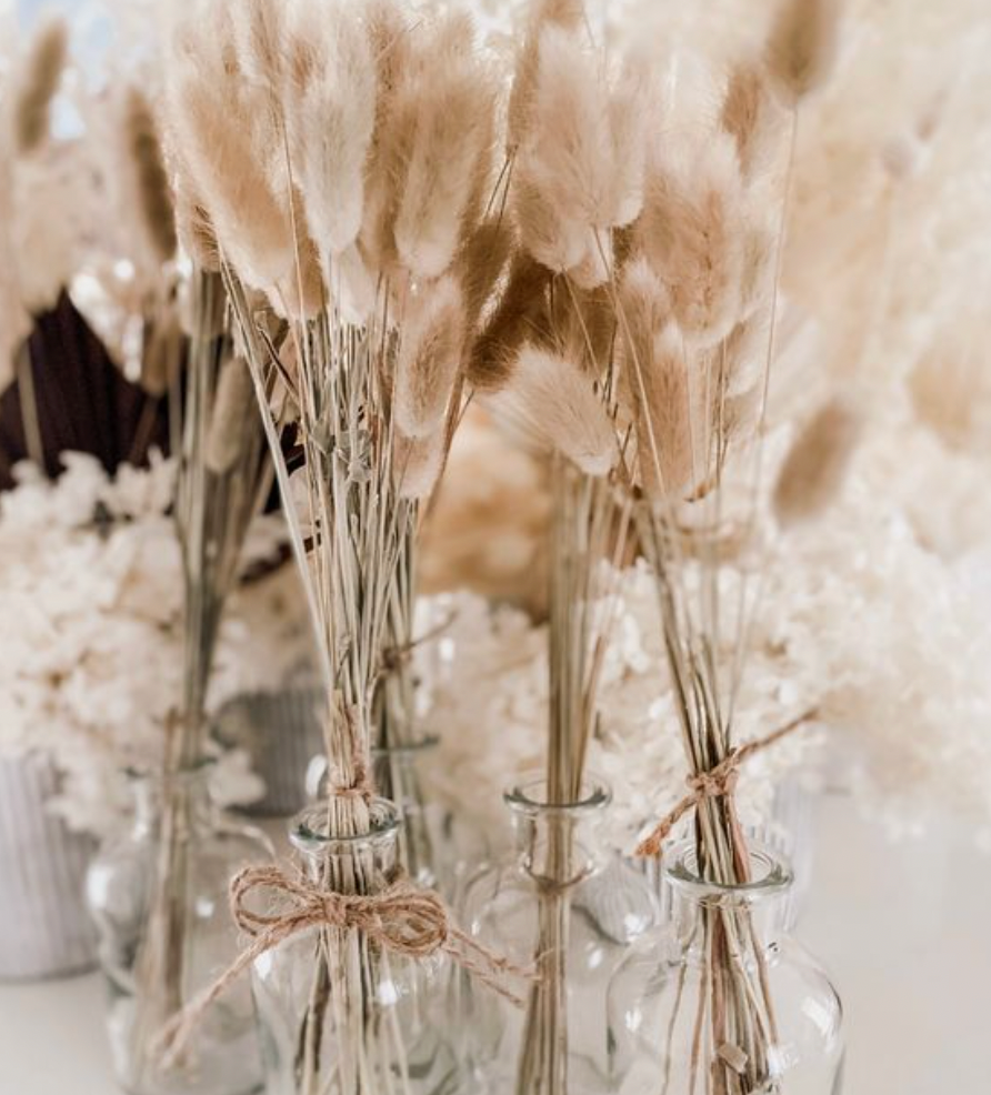 White Bunny Tails Dried Flowers (20 Stems) Wedding Centrepieces – The ...