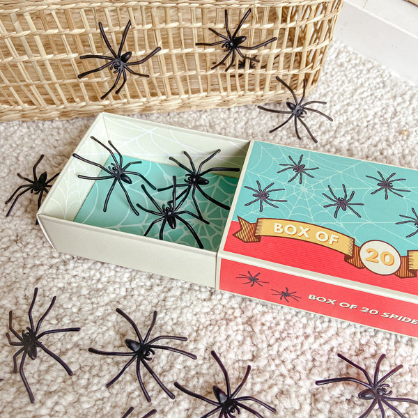 Matchbox of Spiders or Slugs - Children's Gift Stocking Filler